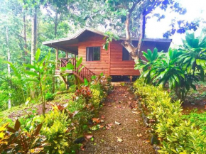 CASITAS GINGER